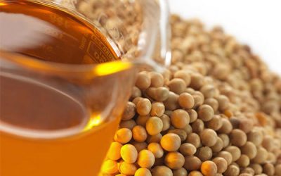 Soybean Crude Oil