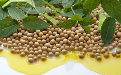 Soybean Refined Oil (2)